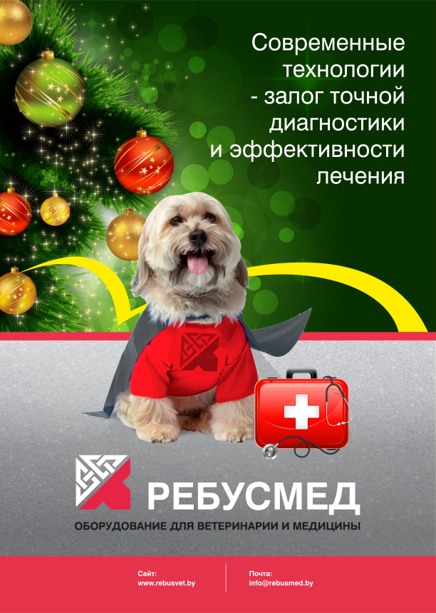 С наступающим Новым годом!